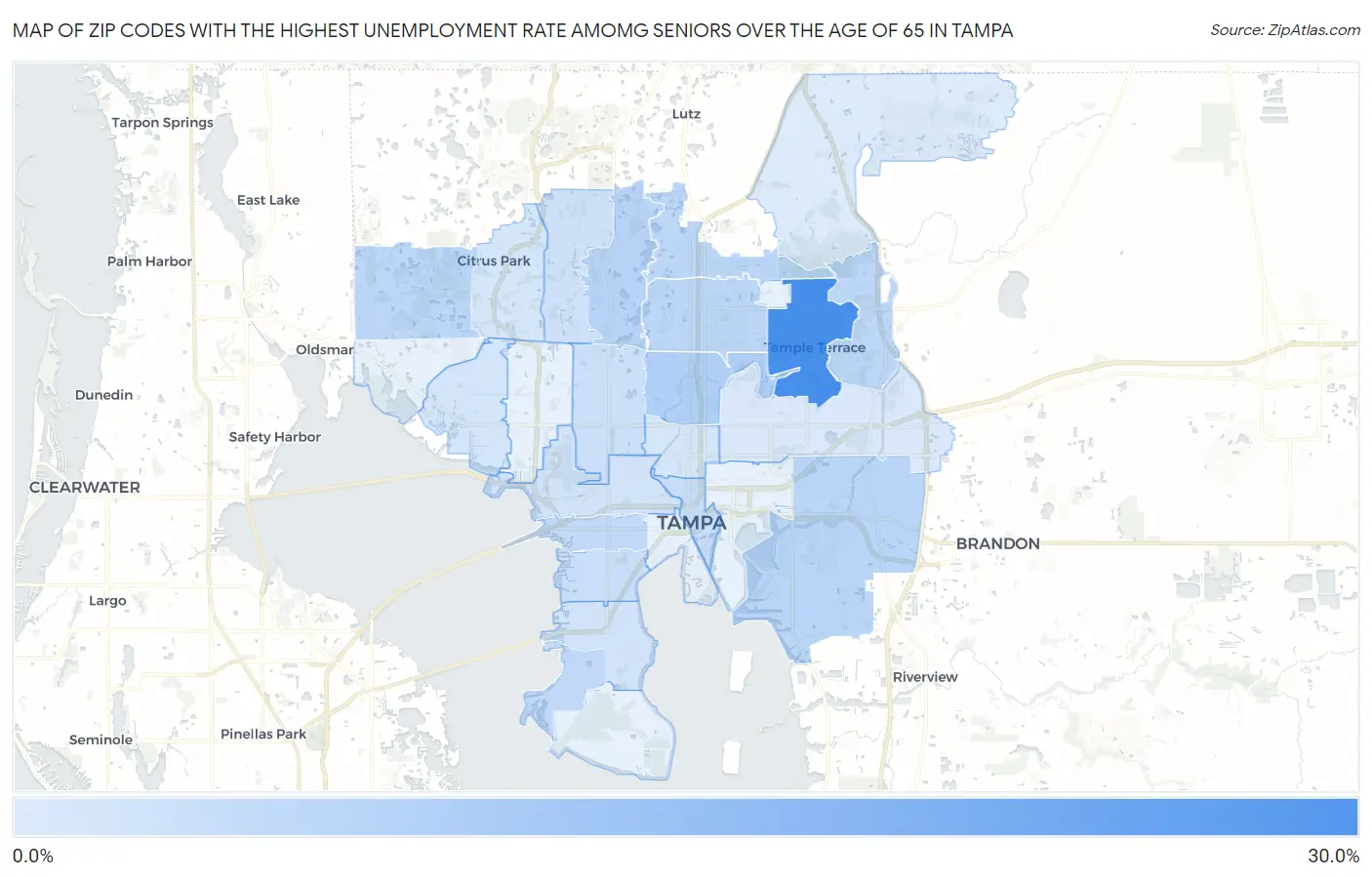 Zip Codes with the Highest Unemployment Rate Amomg Seniors Over the Age of 65 in Tampa Map