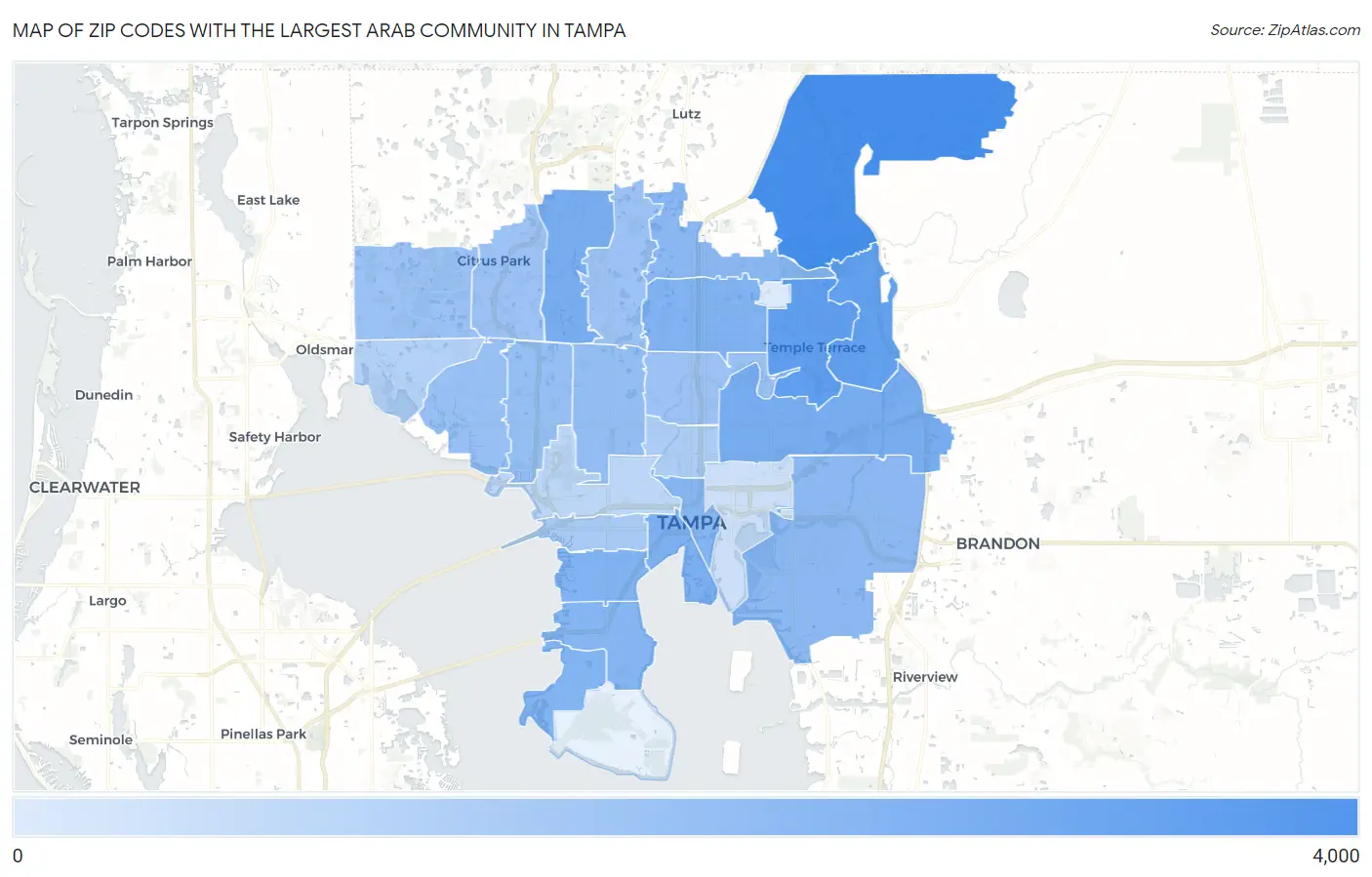 Zip Codes with the Largest Arab Community in Tampa Map