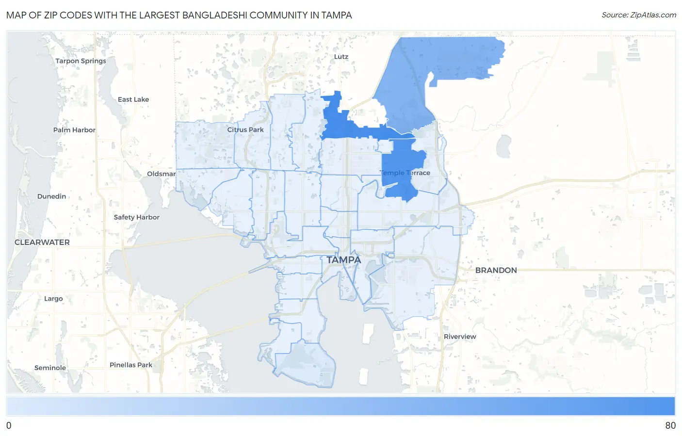 Zip Codes with the Largest Bangladeshi Community in Tampa Map