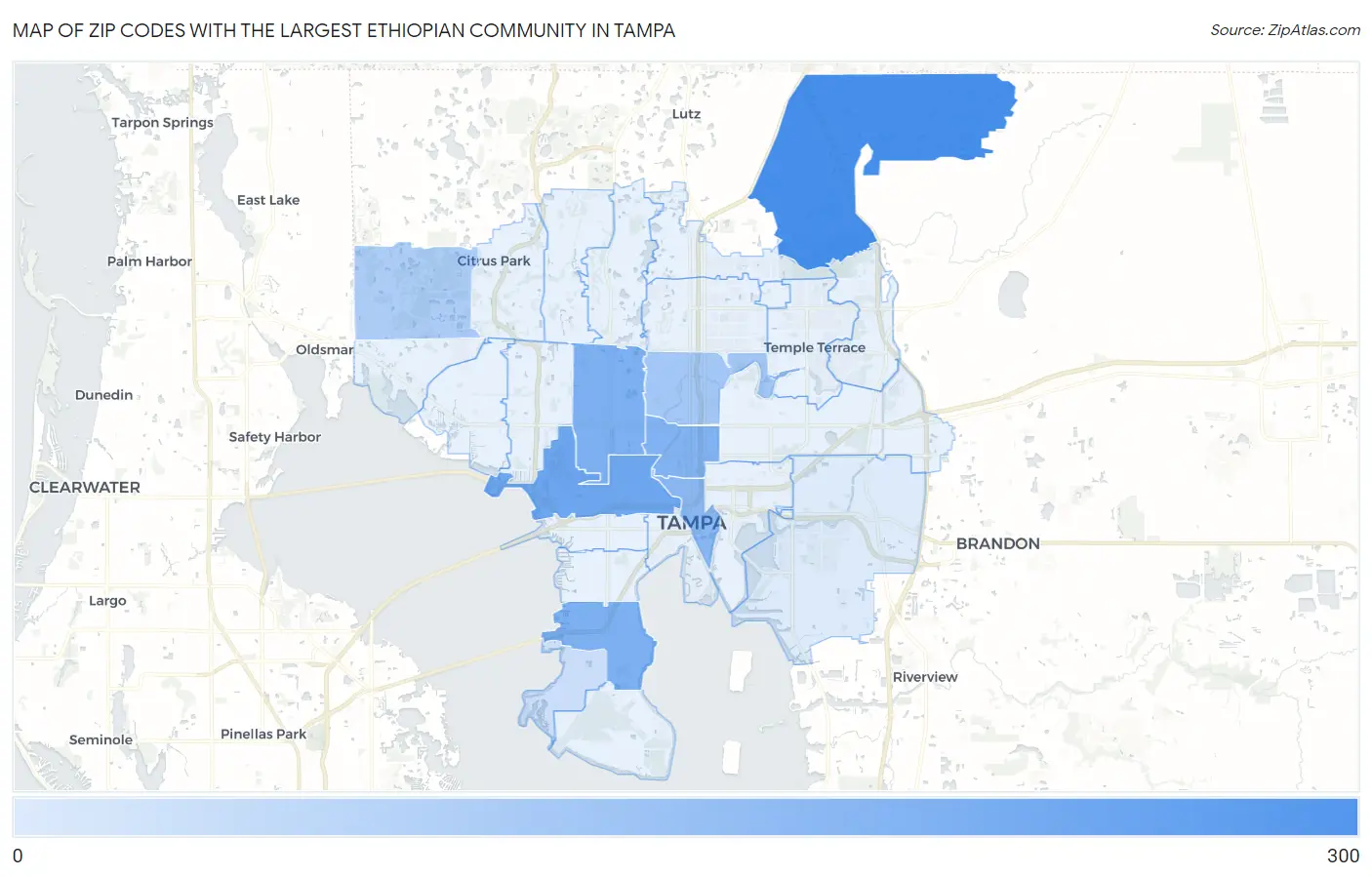 Zip Codes with the Largest Ethiopian Community in Tampa Map