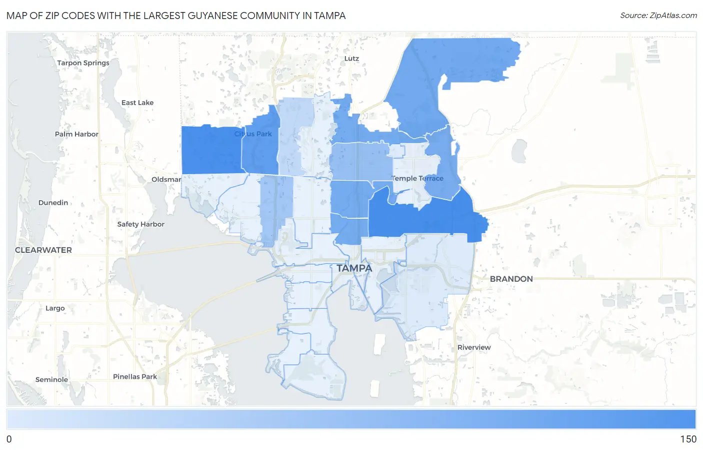 Zip Codes with the Largest Guyanese Community in Tampa Map
