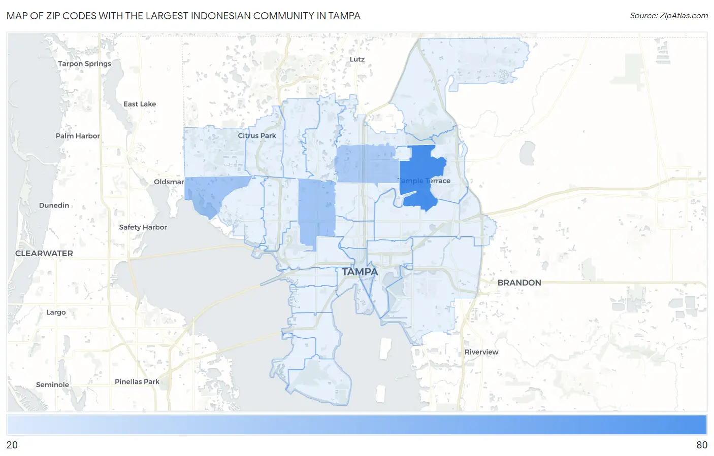 Zip Codes with the Largest Indonesian Community in Tampa Map