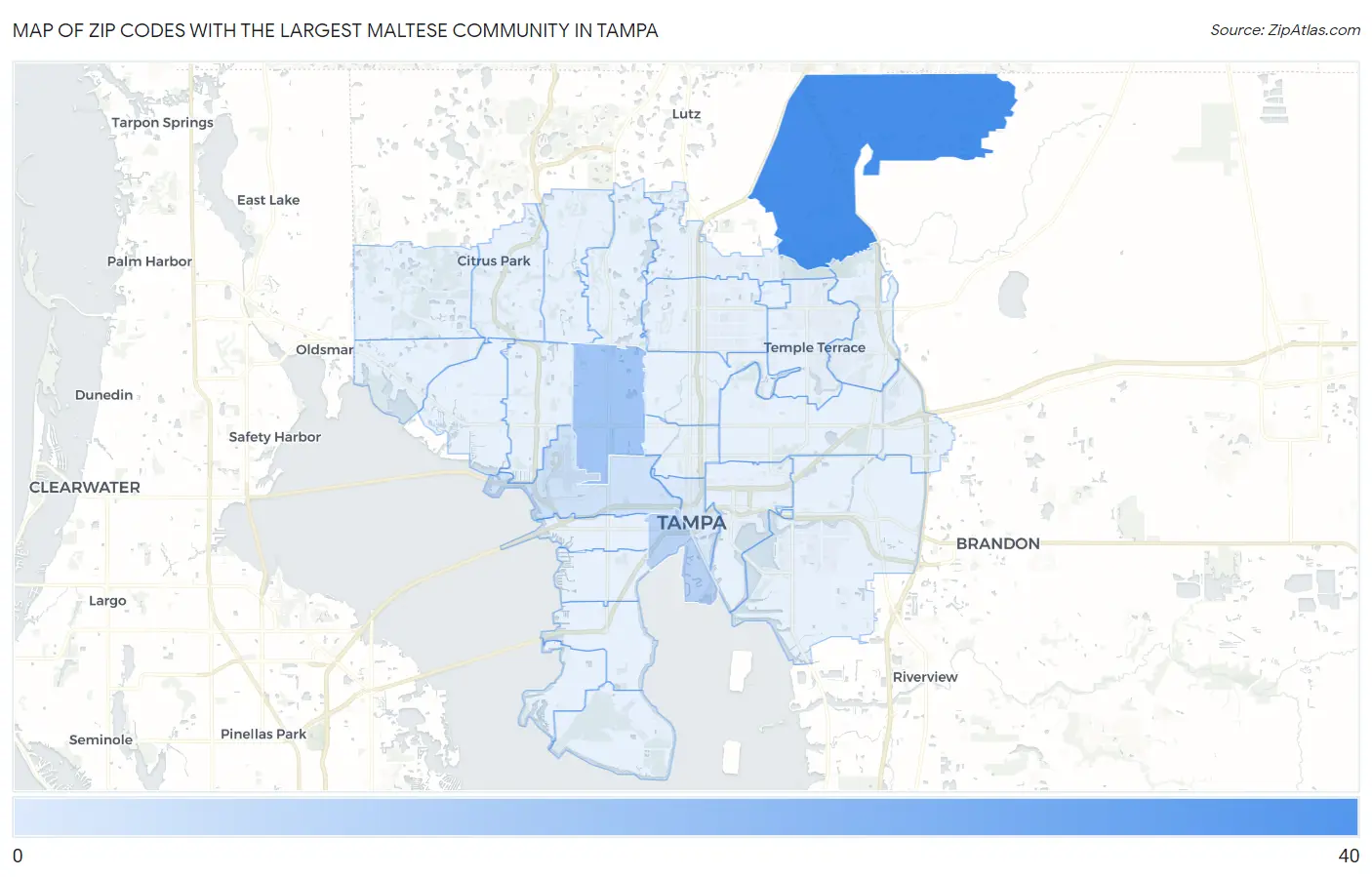 Zip Codes with the Largest Maltese Community in Tampa Map