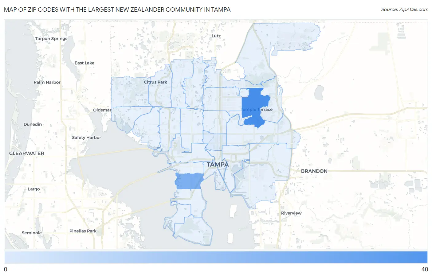 Zip Codes with the Largest New Zealander Community in Tampa Map