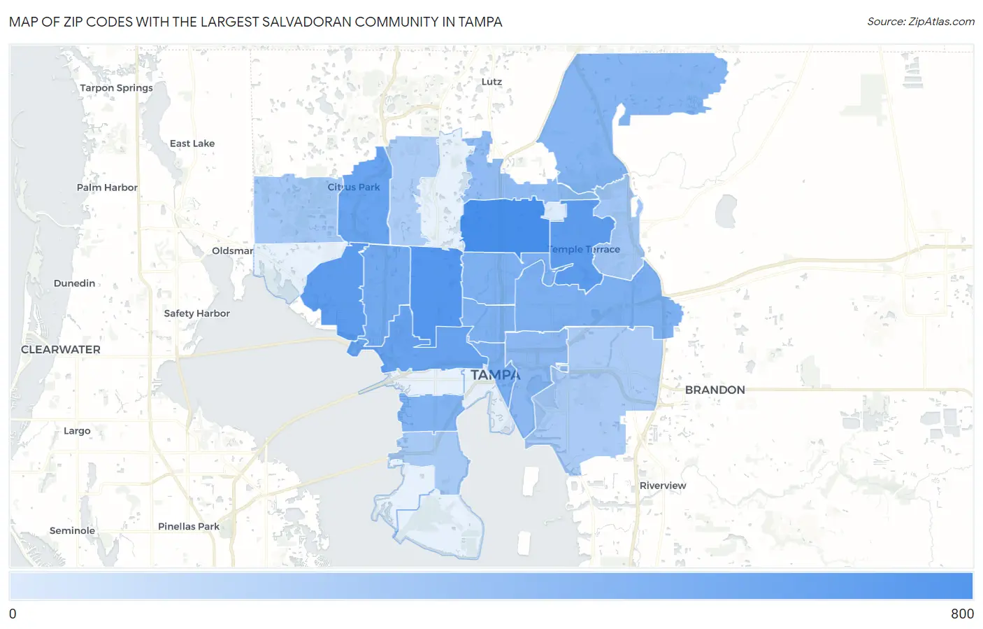 Zip Codes with the Largest Salvadoran Community in Tampa Map