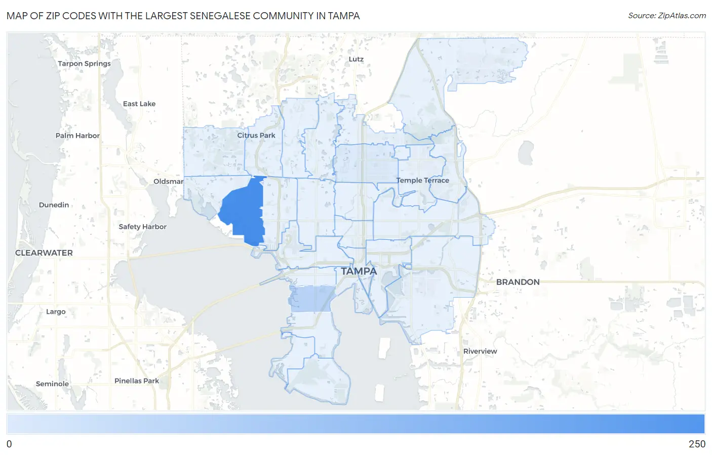 Zip Codes with the Largest Senegalese Community in Tampa Map