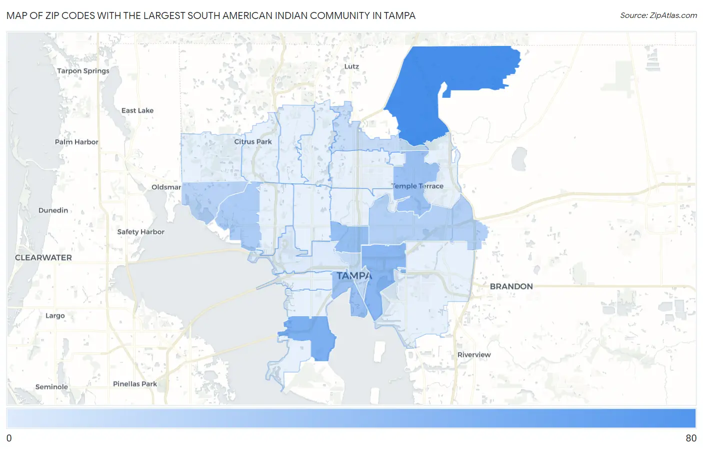 Zip Codes with the Largest South American Indian Community in Tampa Map