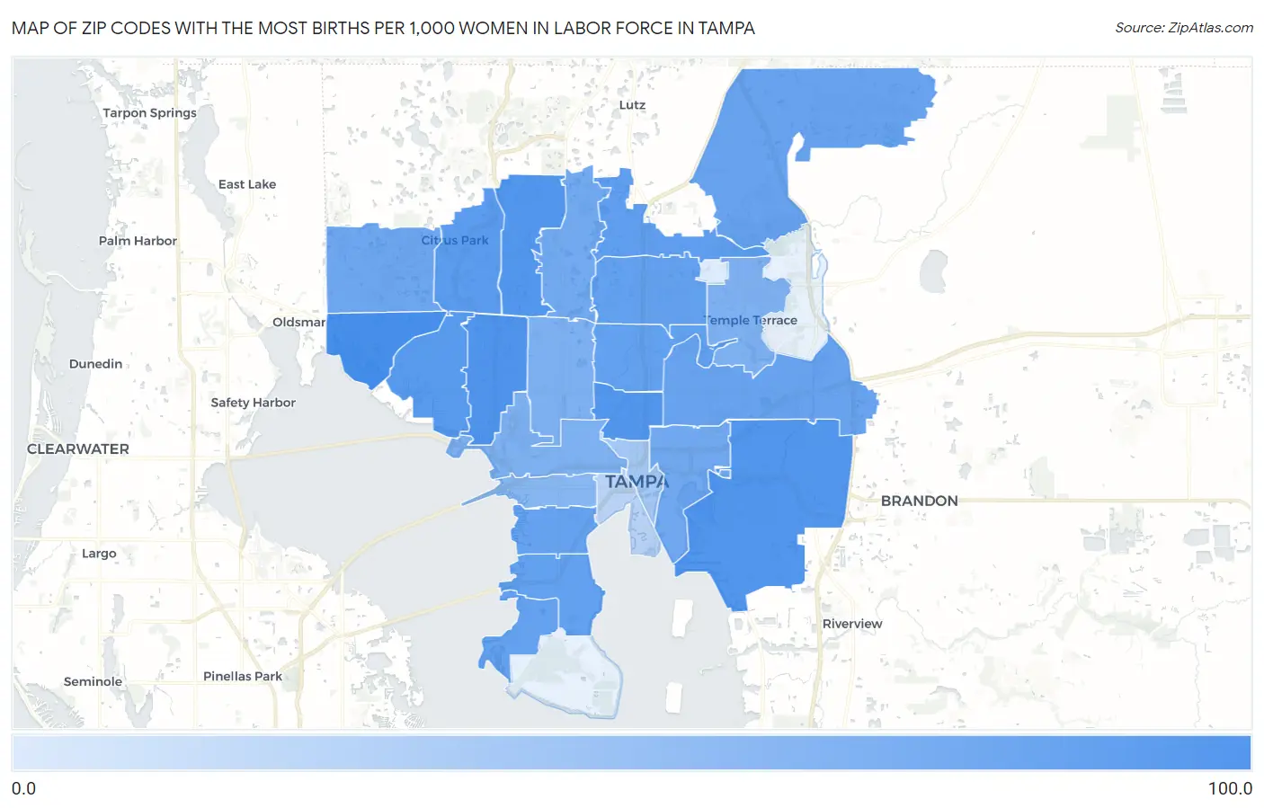 Zip Codes with the Most Births per 1,000 Women in Labor Force in Tampa Map