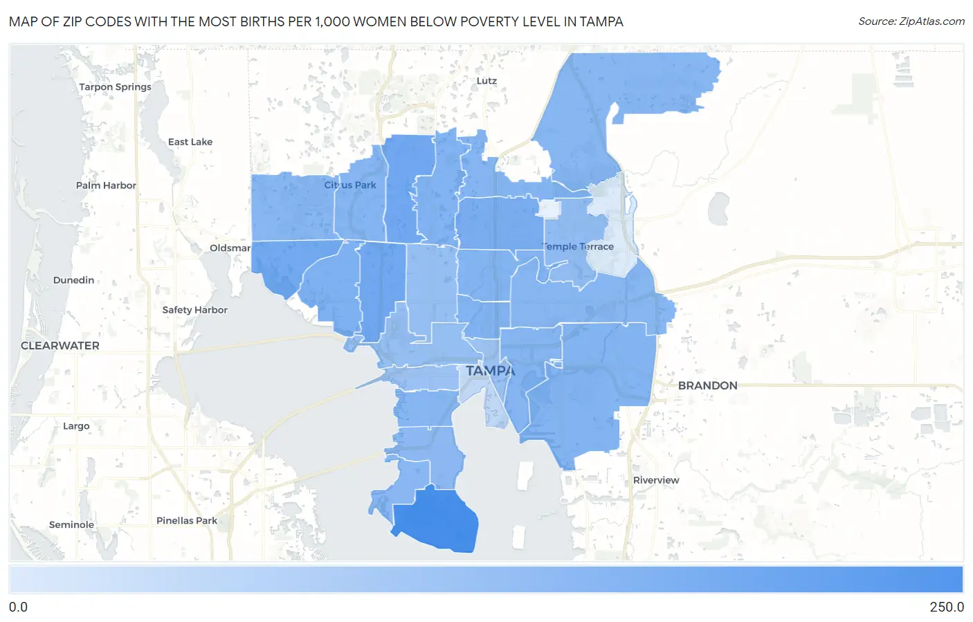 Zip Codes with the Most Births per 1,000 Women Below Poverty Level in Tampa Map