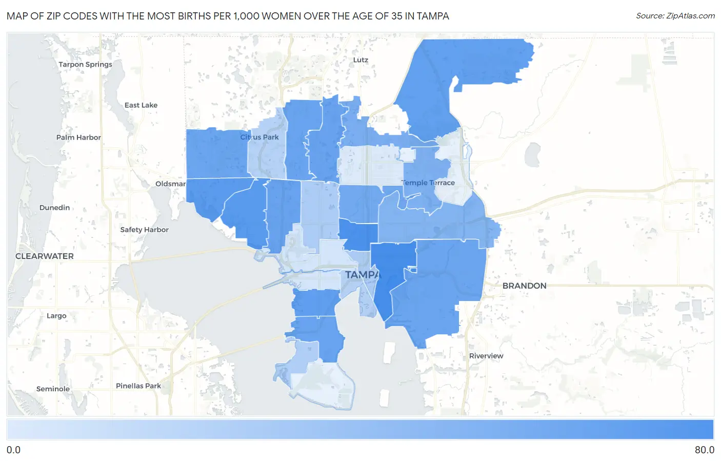 Zip Codes with the Most Births per 1,000 Women Over the Age of 35 in Tampa Map