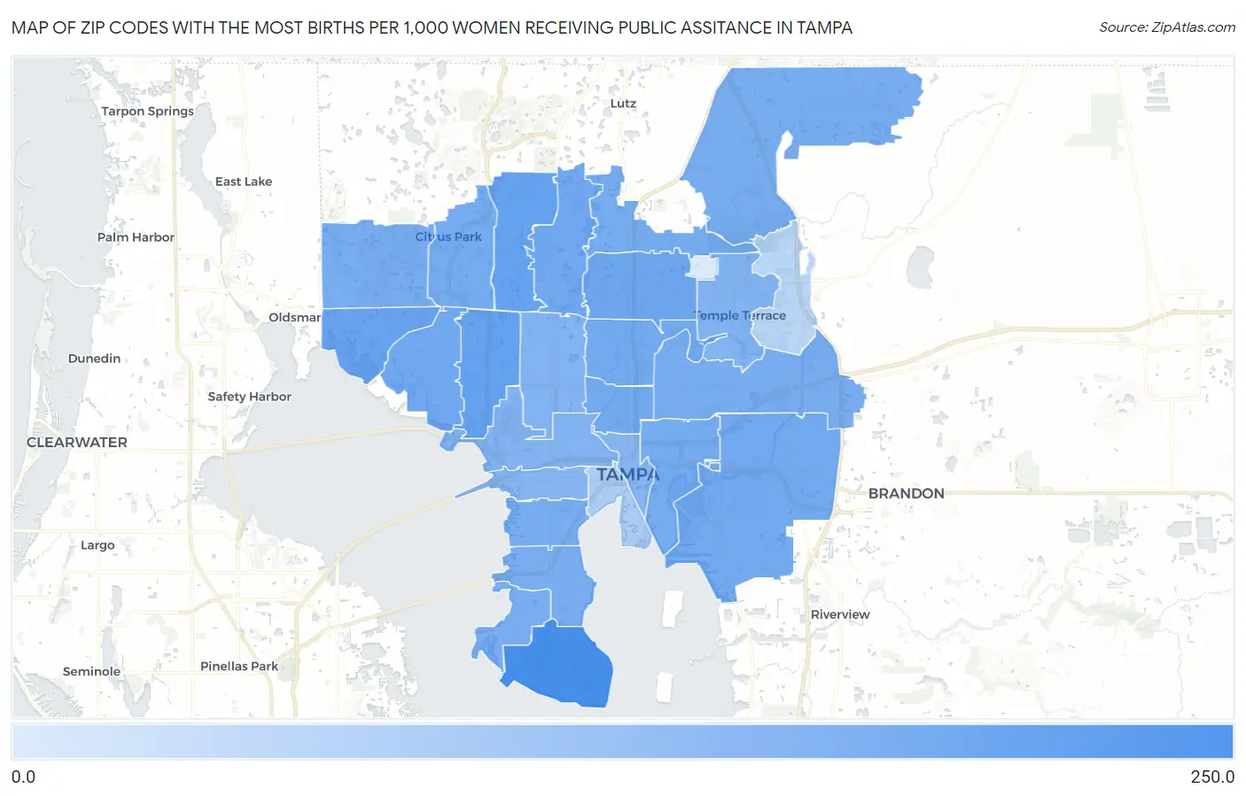 Zip Codes with the Most Births per 1,000 Women Receiving Public Assitance in Tampa Map