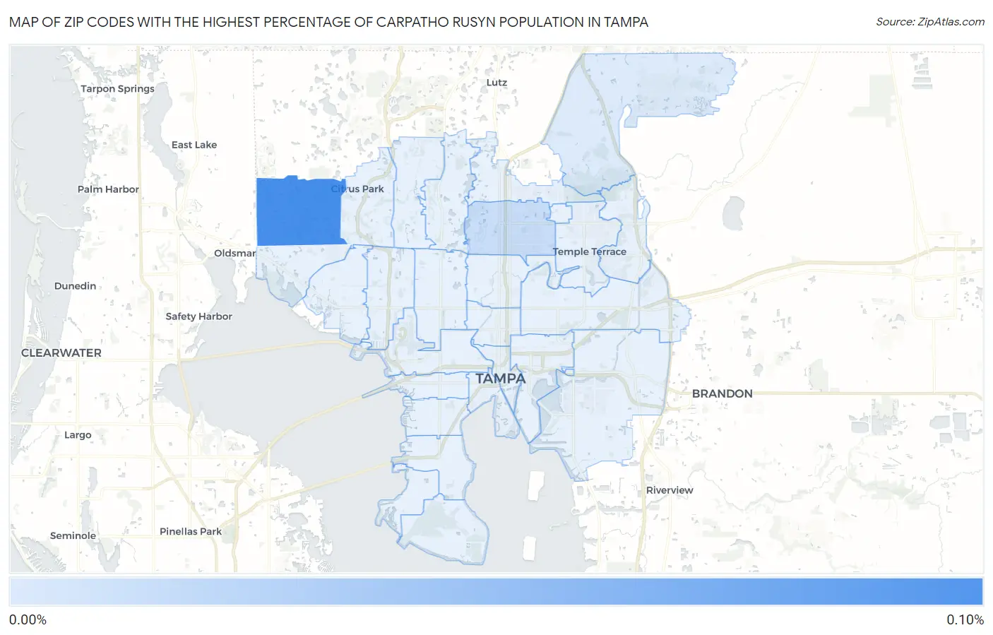 Zip Codes with the Highest Percentage of Carpatho Rusyn Population in Tampa Map