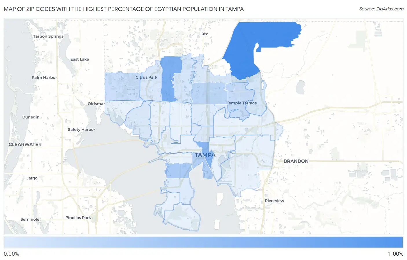 Zip Codes with the Highest Percentage of Egyptian Population in Tampa Map