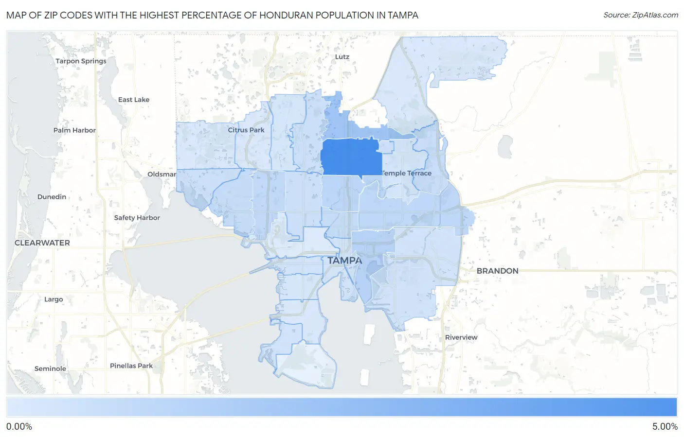 Zip Codes with the Highest Percentage of Honduran Population in Tampa Map