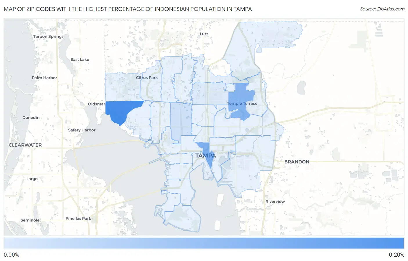 Zip Codes with the Highest Percentage of Indonesian Population in Tampa Map