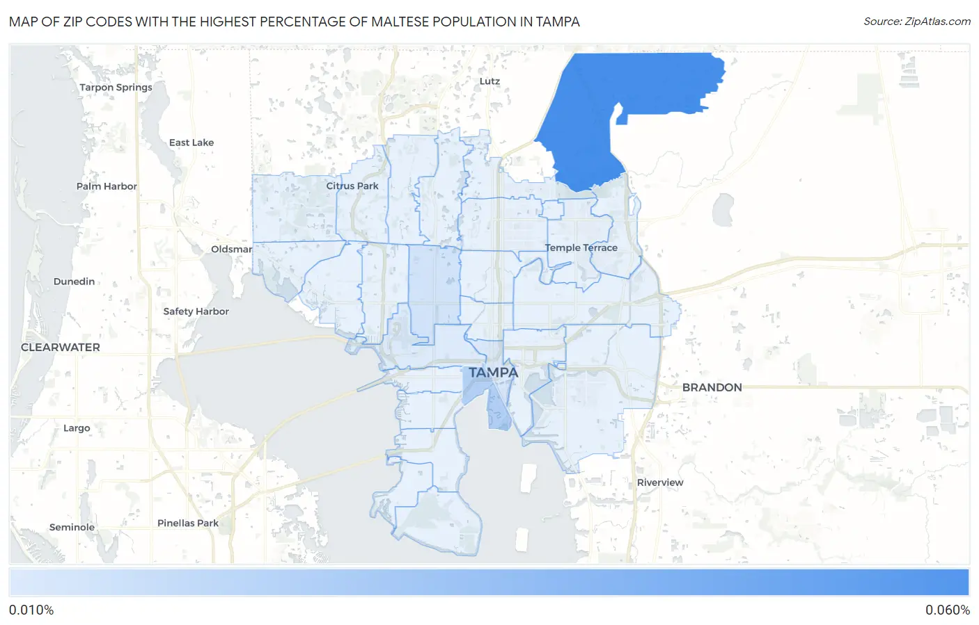 Zip Codes with the Highest Percentage of Maltese Population in Tampa Map