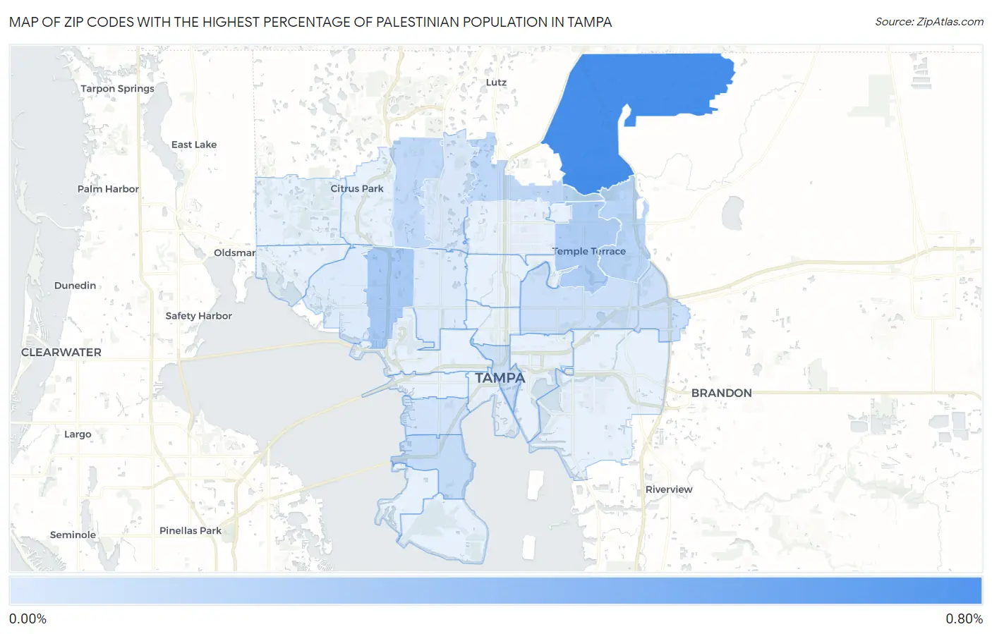 Zip Codes with the Highest Percentage of Palestinian Population in Tampa Map
