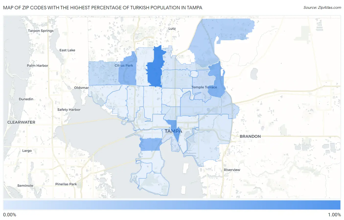 Zip Codes with the Highest Percentage of Turkish Population in Tampa Map