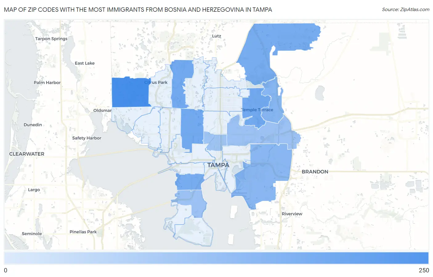 Zip Codes with the Most Immigrants from Bosnia and Herzegovina in Tampa Map