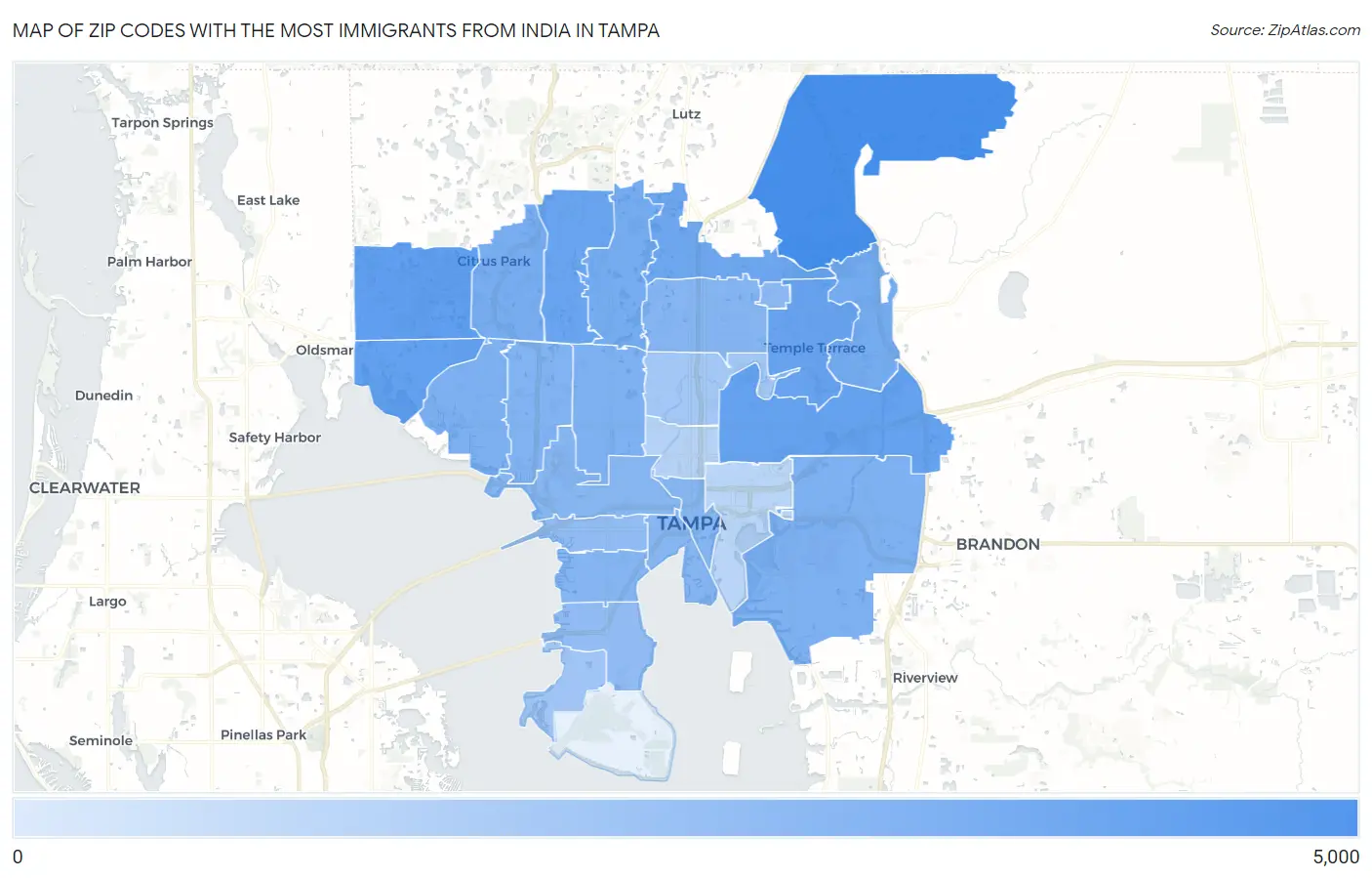 Zip Codes with the Most Immigrants from India in Tampa Map