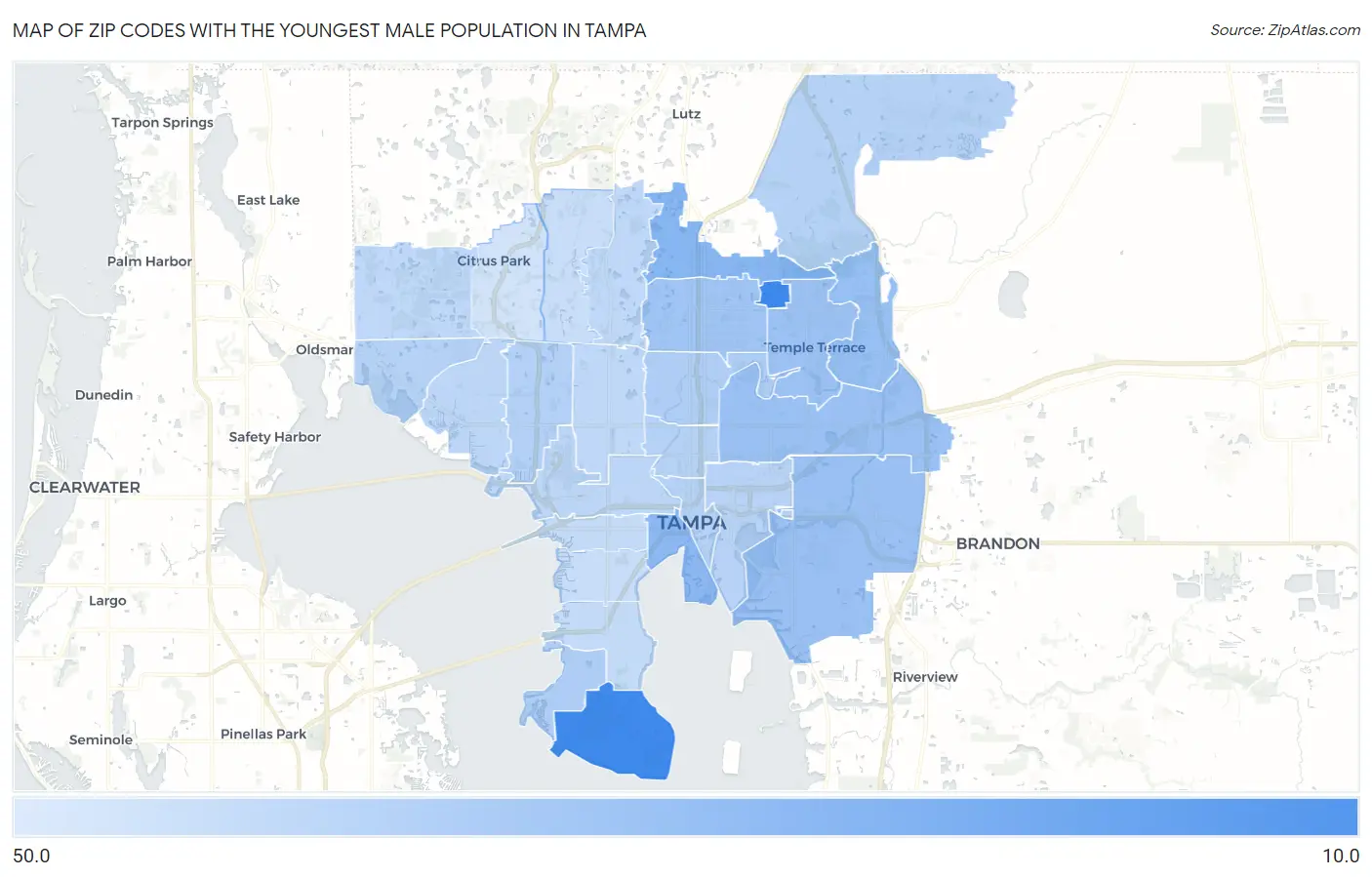 Zip Codes with the Youngest Male Population in Tampa Map