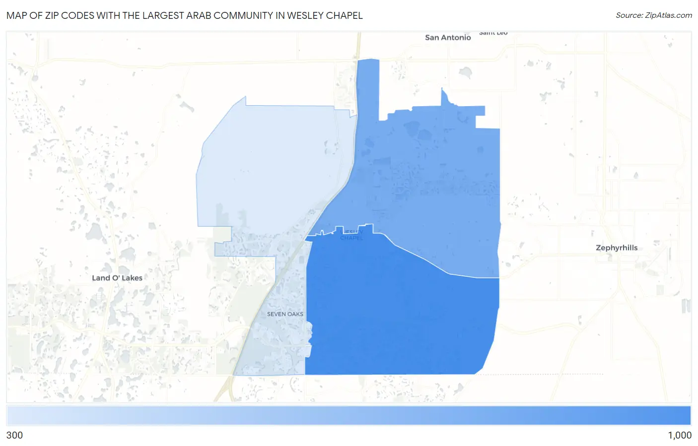 Zip Codes with the Largest Arab Community in Wesley Chapel Map