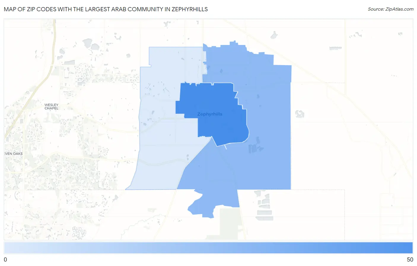 Zip Codes with the Largest Arab Community in Zephyrhills Map