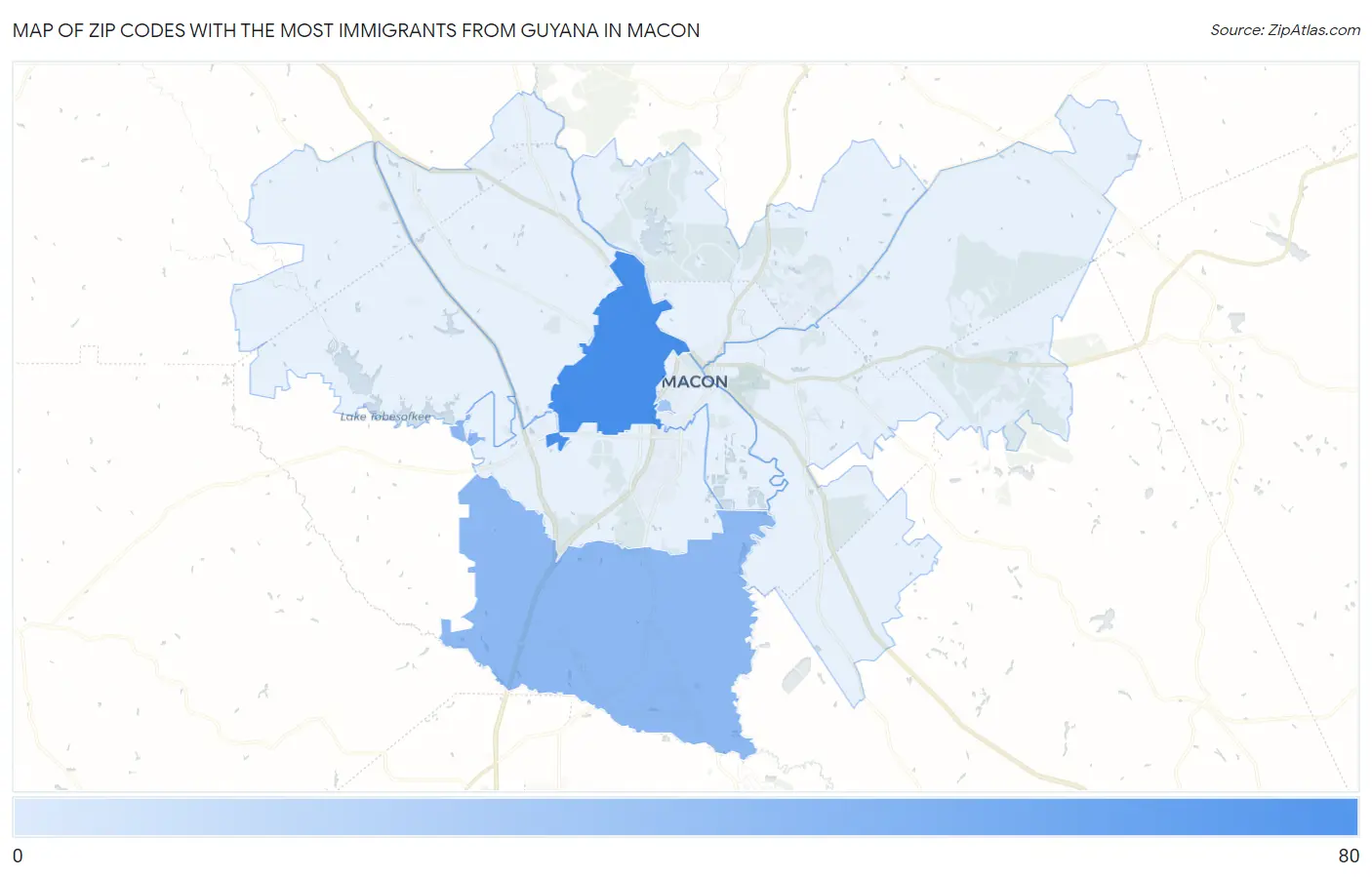 Zip Codes with the Most Immigrants from Guyana in Macon Map