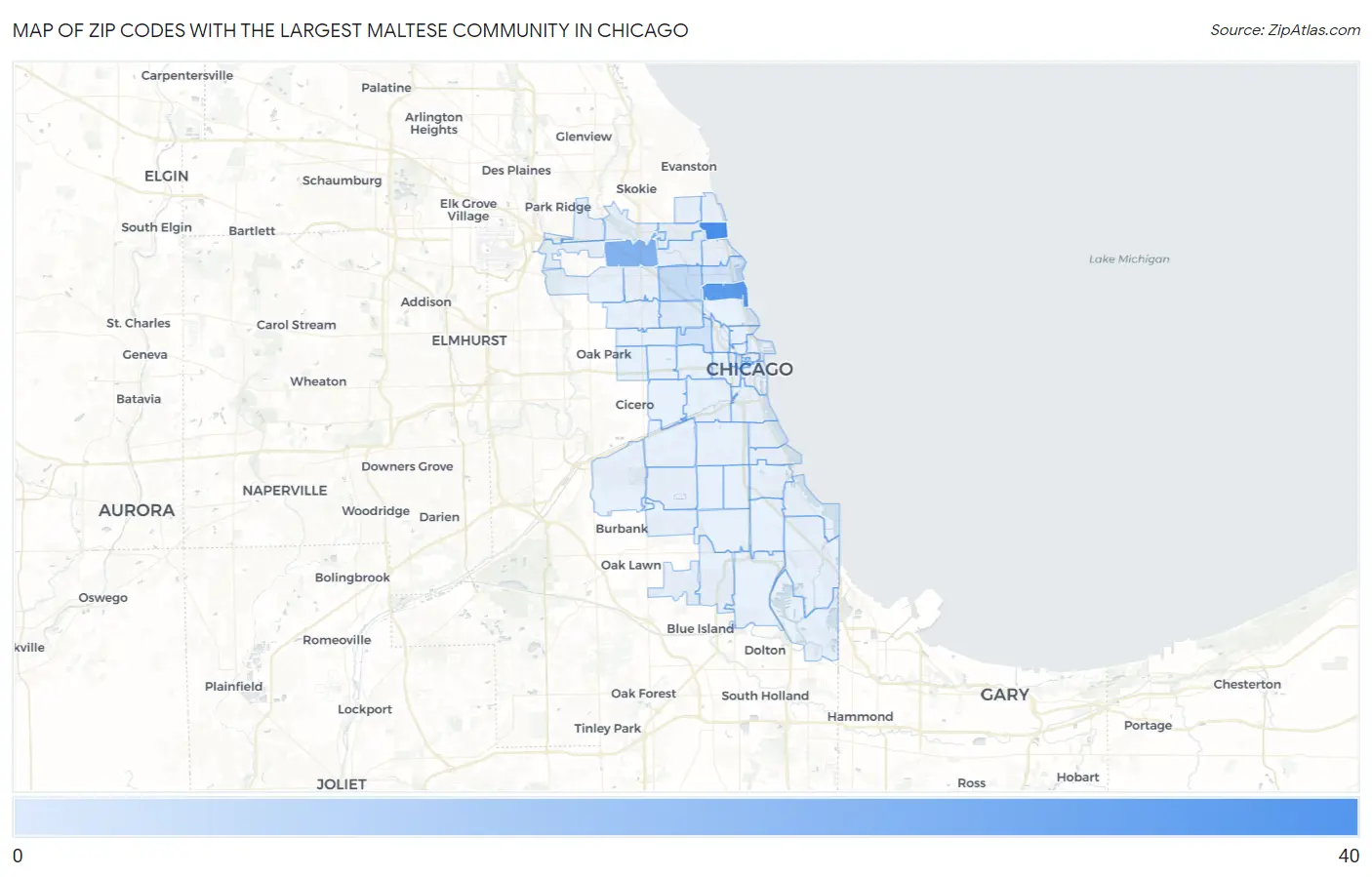 Zip Codes with the Largest Maltese Community in Chicago Map