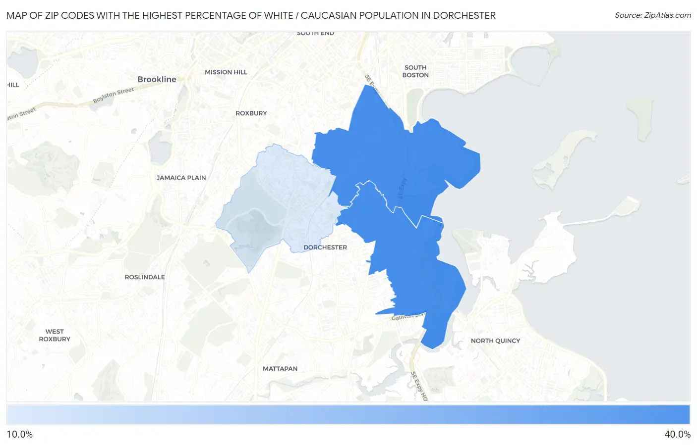Zip Codes with the Highest Percentage of White / Caucasian Population in Dorchester Map