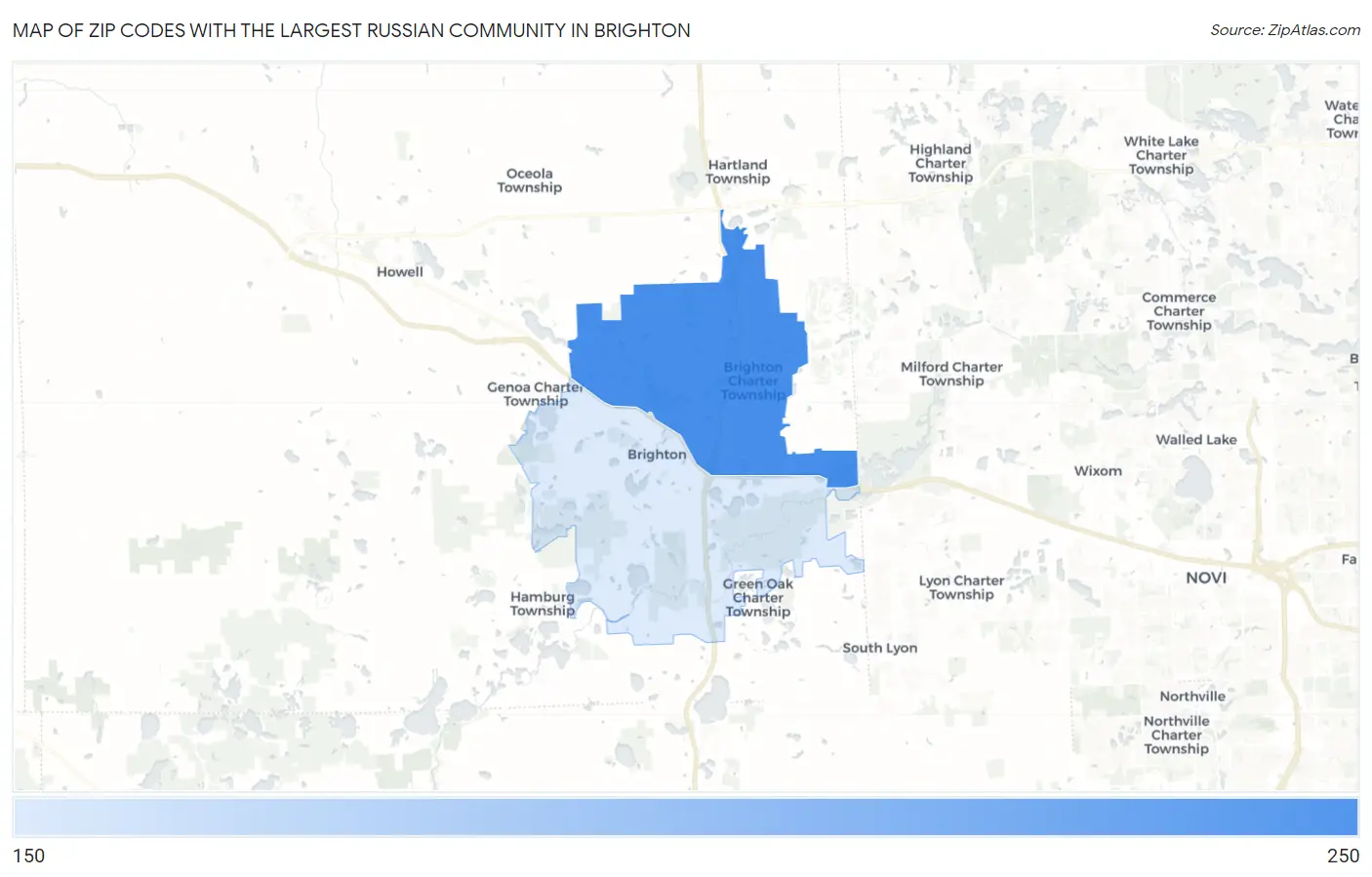 Zip Codes with the Largest Russian Community in Brighton Map