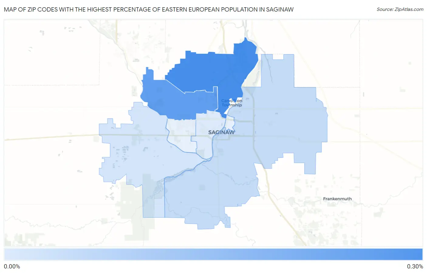 Zip Codes with the Highest Percentage of Eastern European Population in Saginaw Map