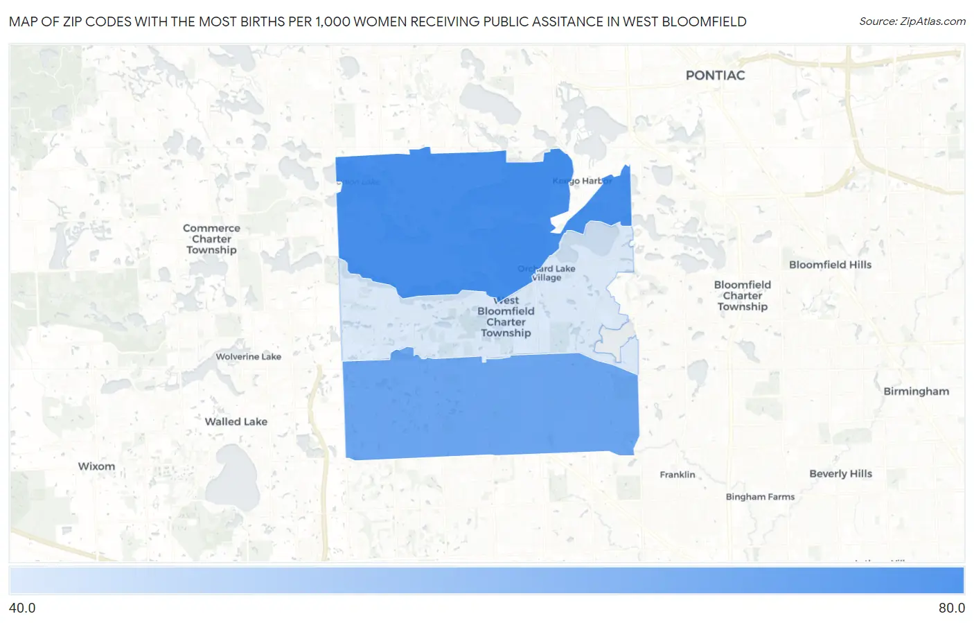 Zip Codes with the Most Births per 1,000 Women Receiving Public Assitance in West Bloomfield Map