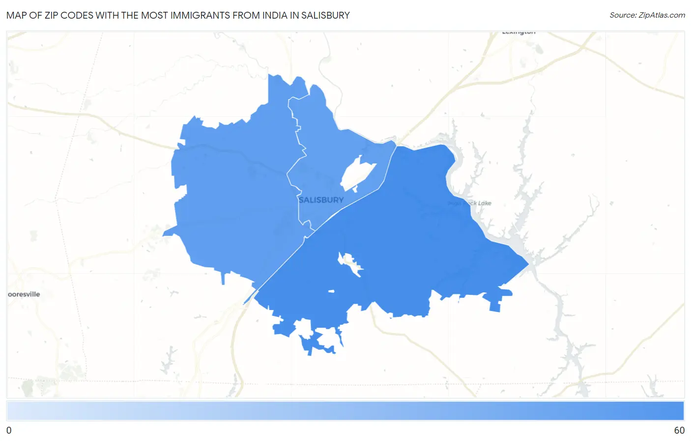 Zip Codes with the Most Immigrants from India in Salisbury Map