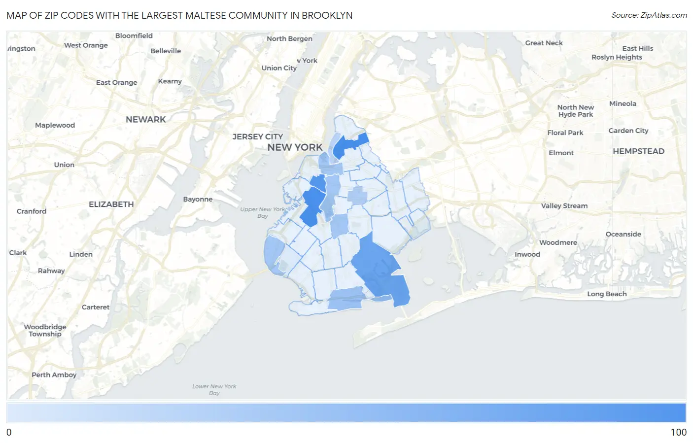 Zip Codes with the Largest Maltese Community in Brooklyn Map