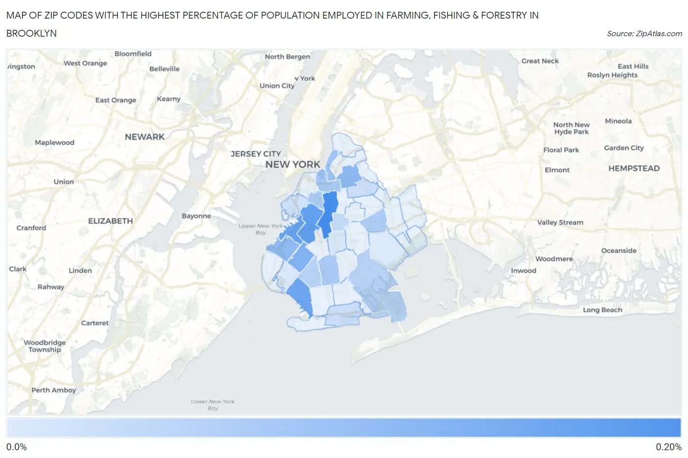 Zip Codes with the Highest Percentage of Population Employed in Farming, Fishing & Forestry in Brooklyn Map
