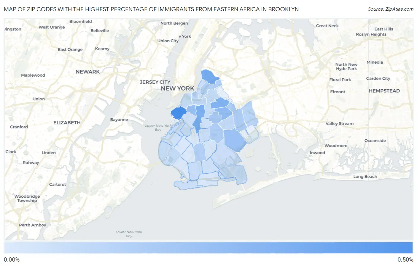 Zip Codes with the Highest Percentage of Immigrants from Eastern Africa in Brooklyn Map