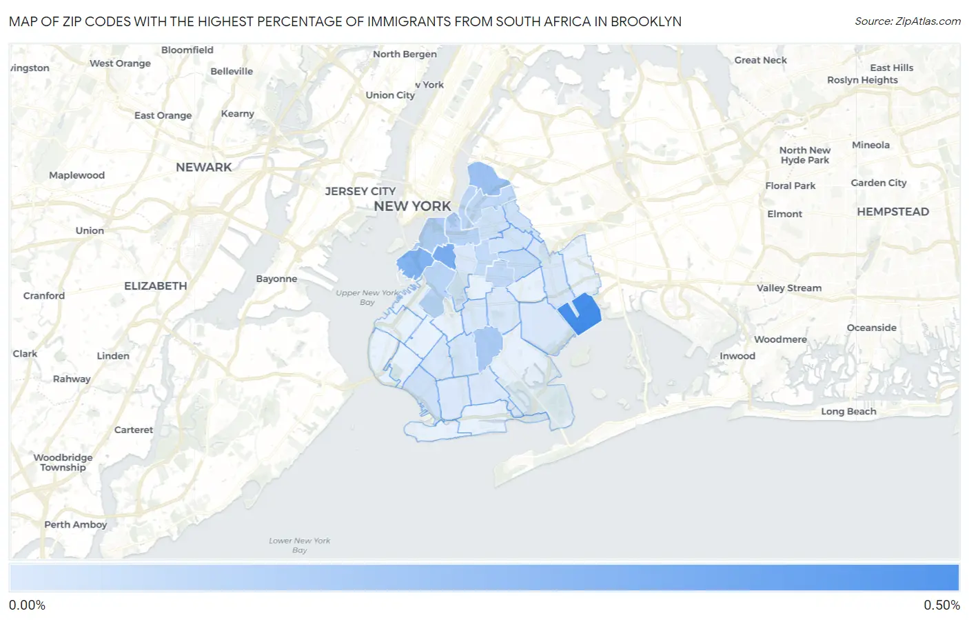 Zip Codes with the Highest Percentage of Immigrants from South Africa in Brooklyn Map