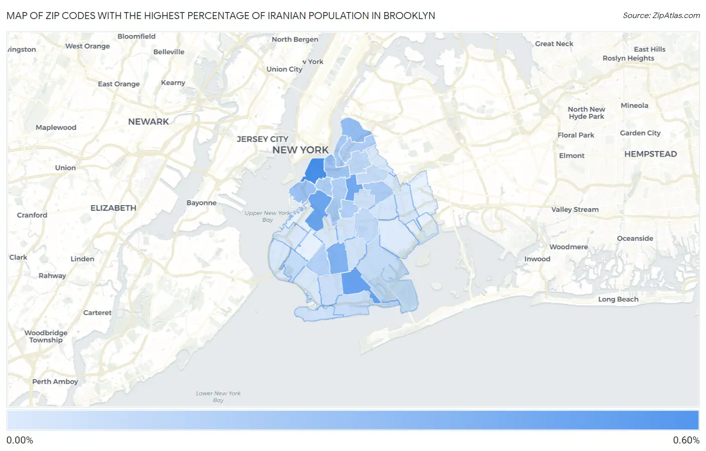 Zip Codes with the Highest Percentage of Iranian Population in Brooklyn Map