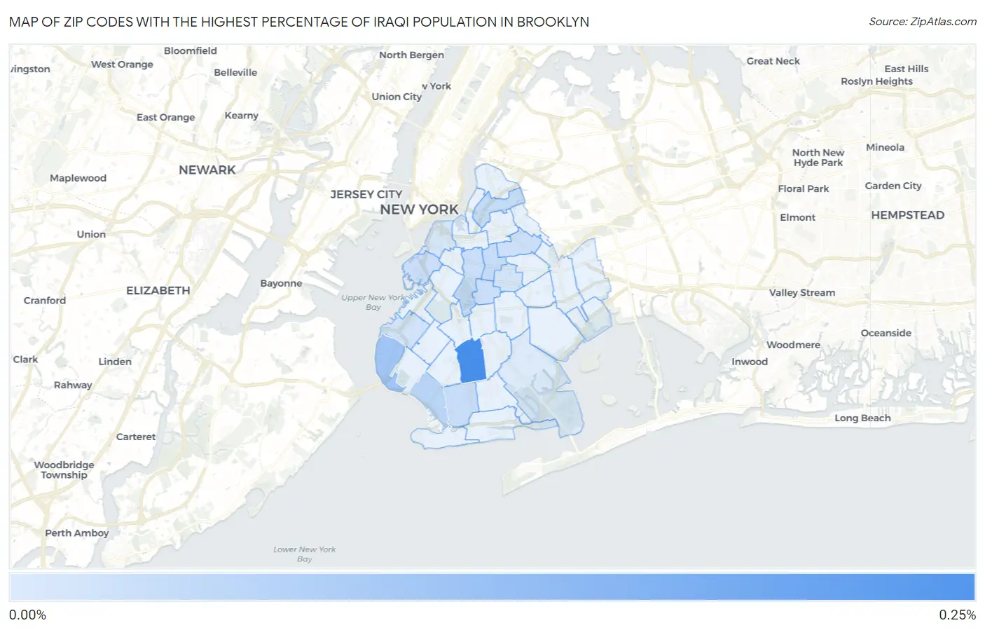 Zip Codes with the Highest Percentage of Iraqi Population in Brooklyn Map