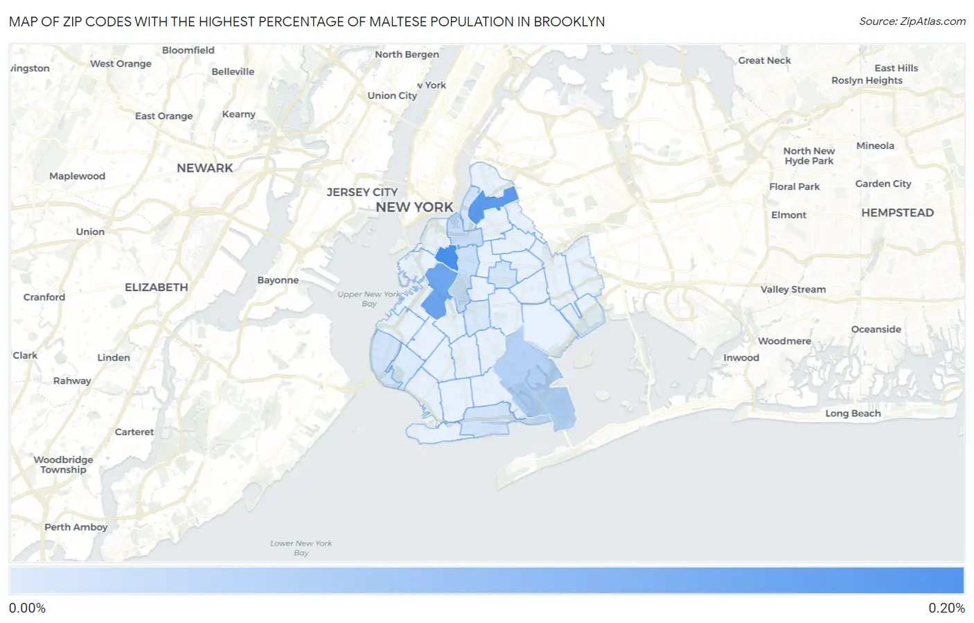 Zip Codes with the Highest Percentage of Maltese Population in Brooklyn Map