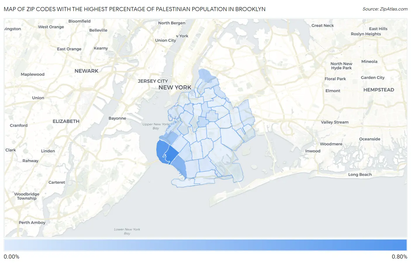 Zip Codes with the Highest Percentage of Palestinian Population in Brooklyn Map