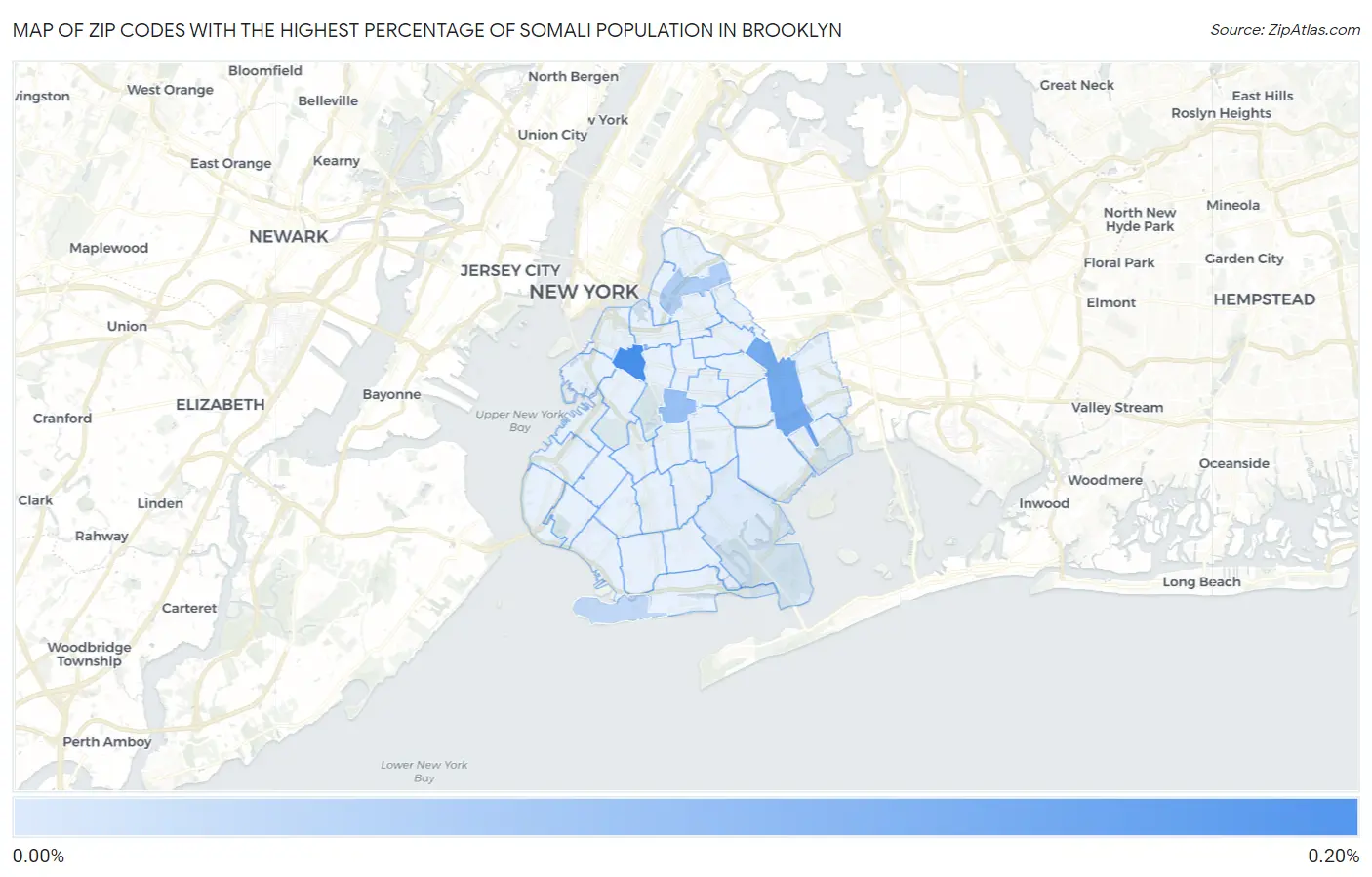 Zip Codes with the Highest Percentage of Somali Population in Brooklyn Map