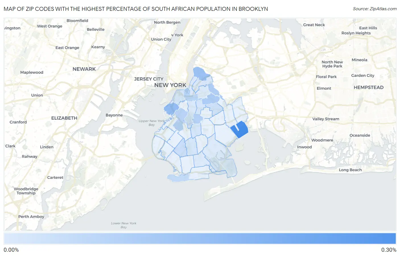 Zip Codes with the Highest Percentage of South African Population in Brooklyn Map
