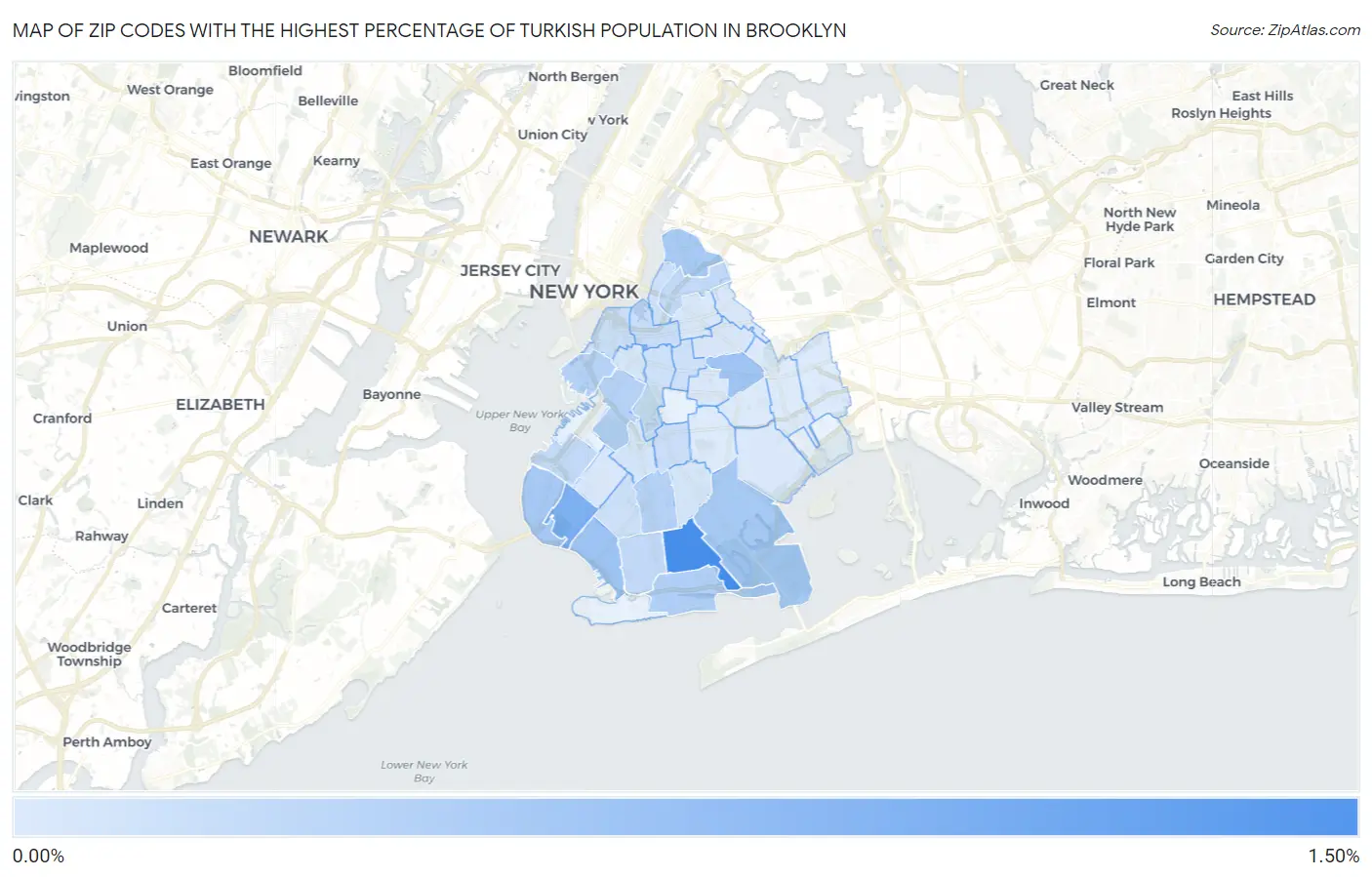 Zip Codes with the Highest Percentage of Turkish Population in Brooklyn Map