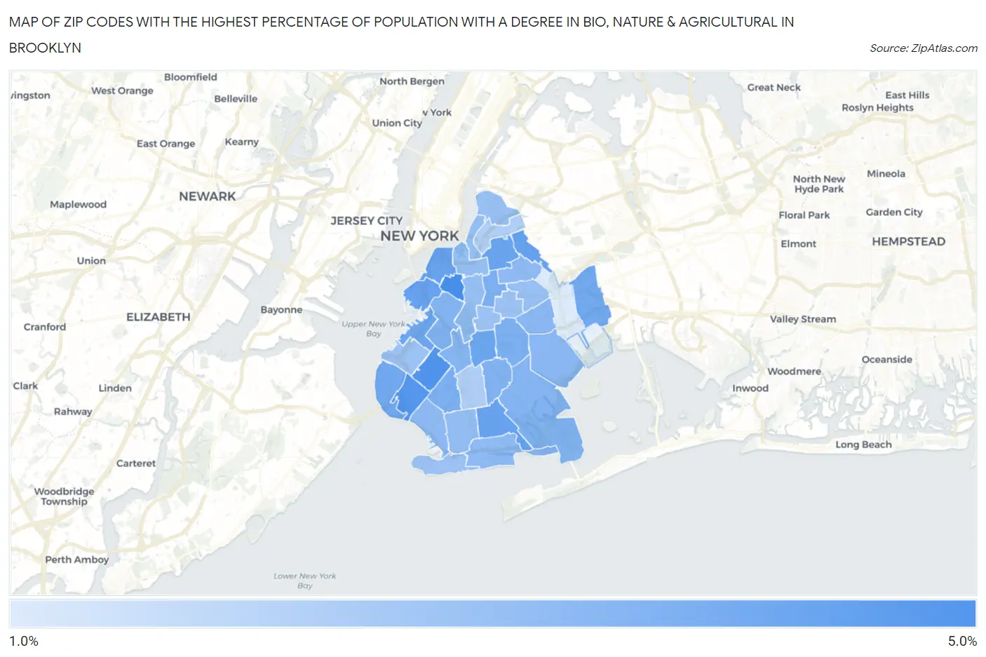 Zip Codes with the Highest Percentage of Population with a Degree in Bio, Nature & Agricultural in Brooklyn Map