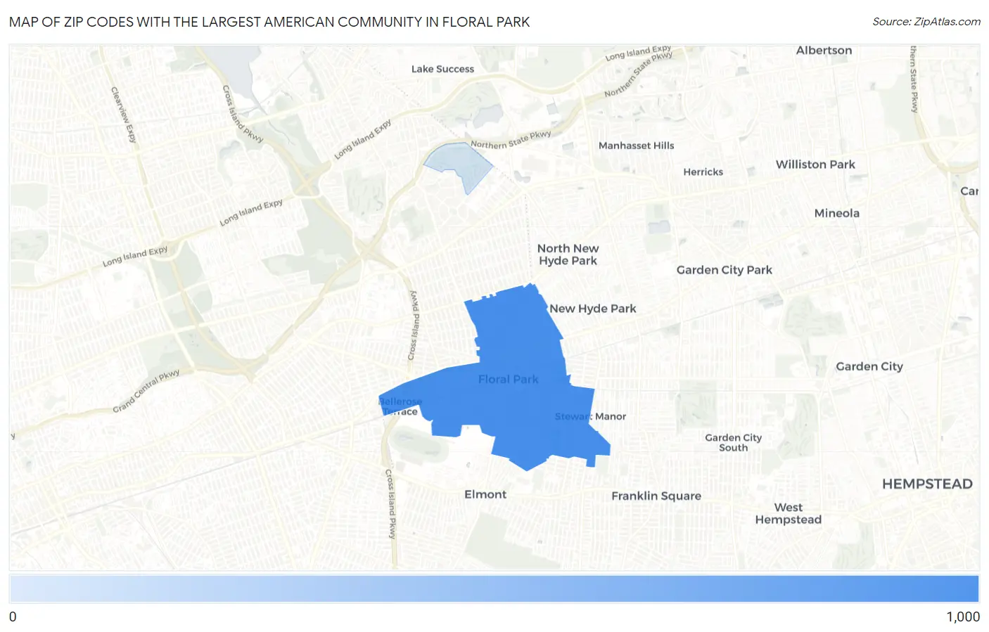 Zip Codes with the Largest American Community in Floral Park Map