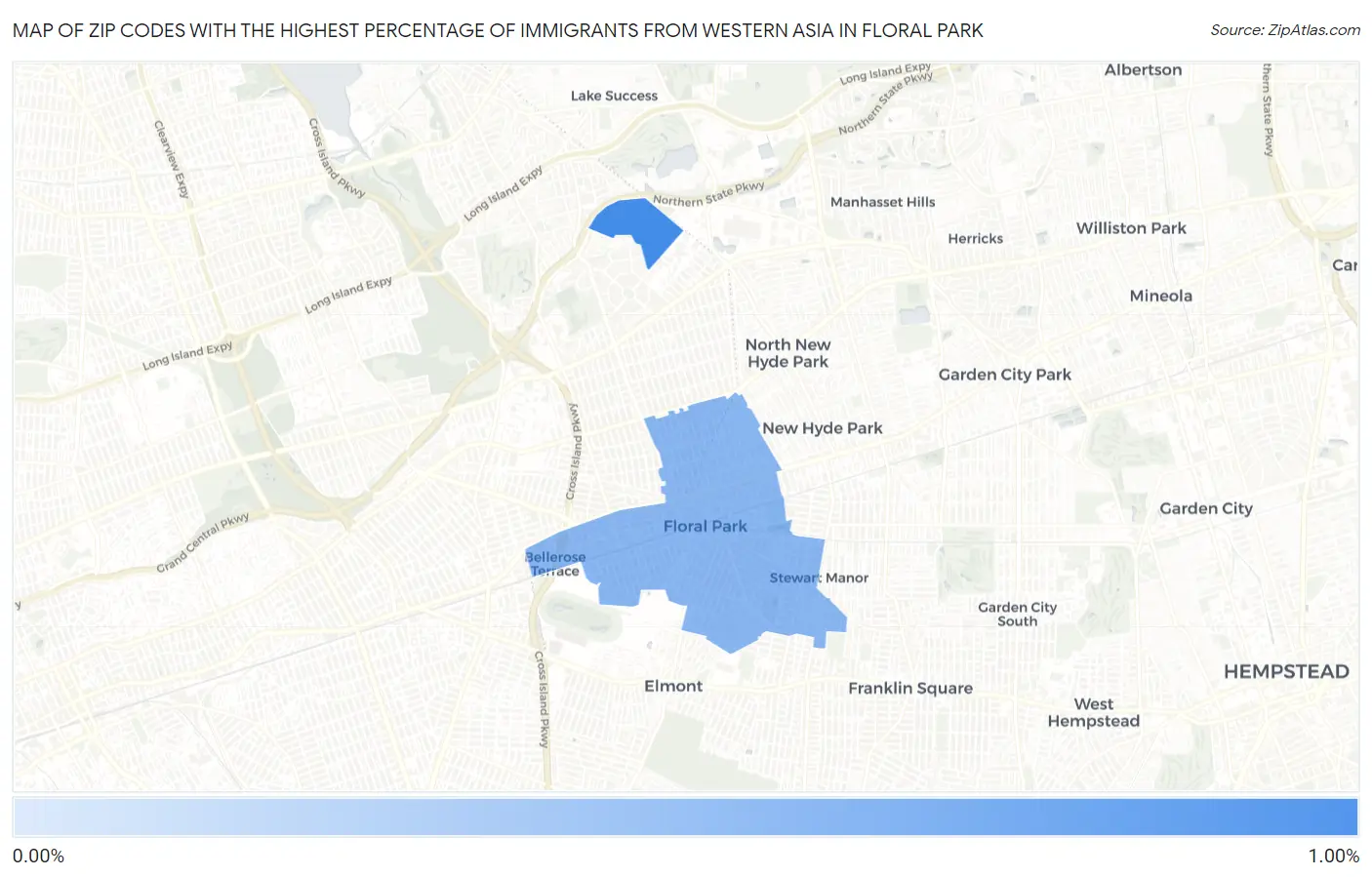 Zip Codes with the Highest Percentage of Immigrants from Western Asia in Floral Park Map