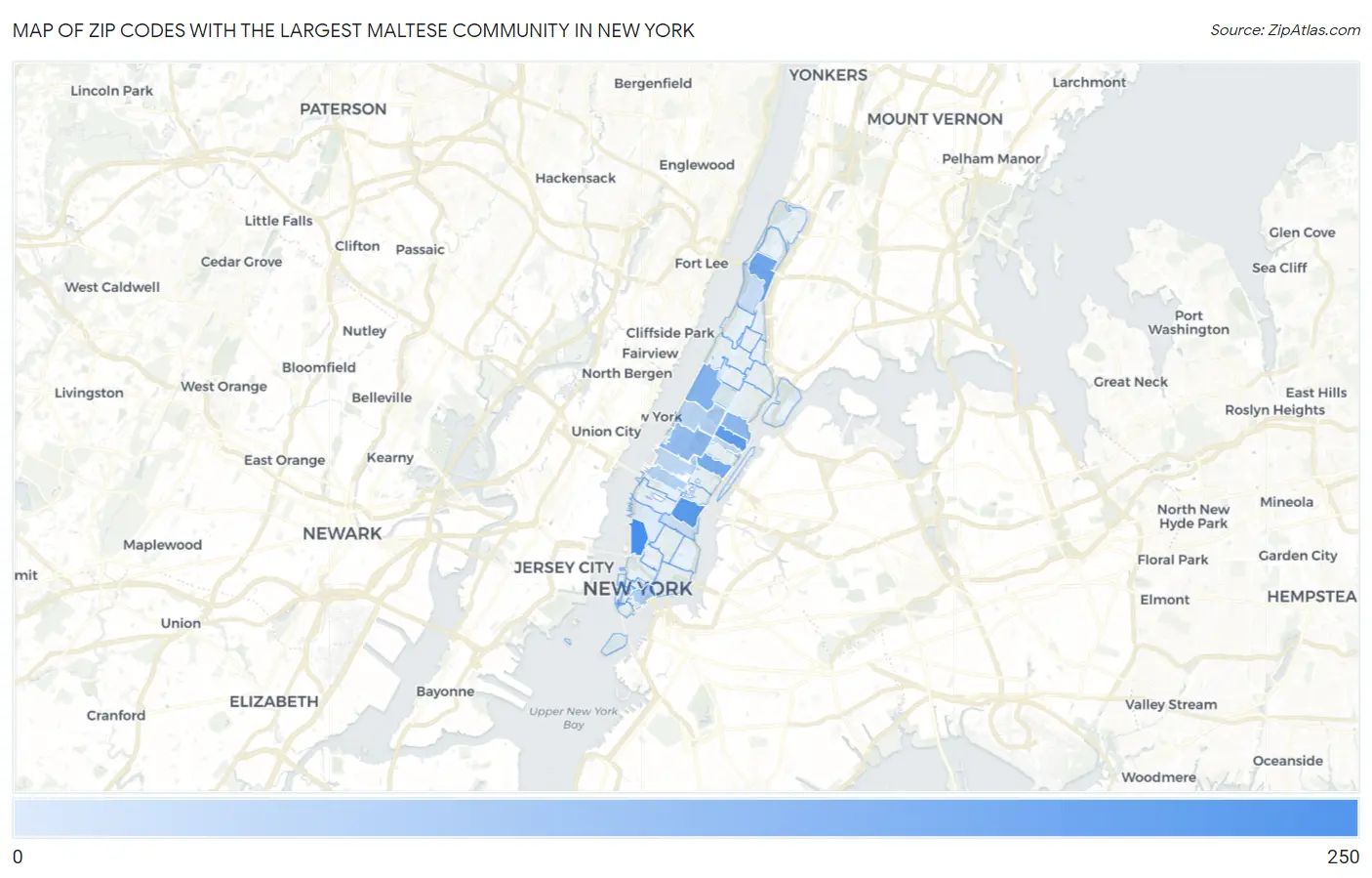Zip Codes with the Largest Maltese Community in New York Map