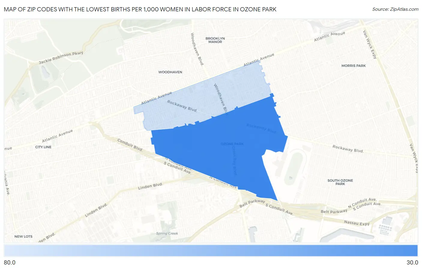 Zip Codes with the Lowest Births per 1,000 Women in Labor Force in Ozone Park Map